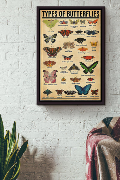 Types Of Butterflies Name Poster Framed Matte Canvas