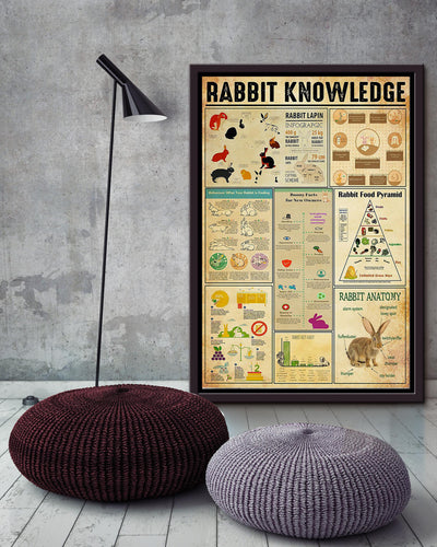Rabbit Basic Information Animal Knowledge Wall Art For Homeschool Kids Bedroom Decor Framed Canvas Framed Prints, Canvas