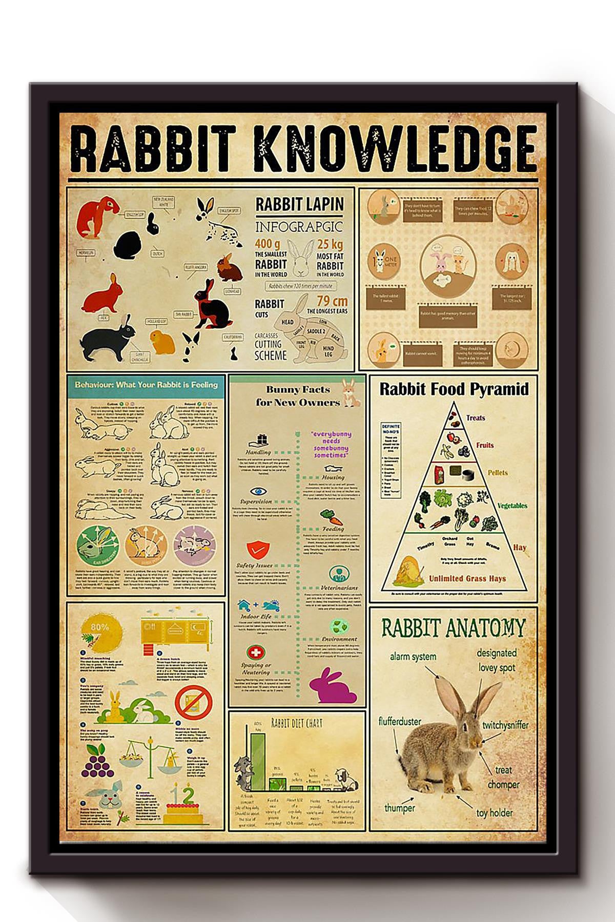 Rabbit Basic Information Animal Knowledge Wall Art For Homeschool Kids Bedroom Decor Framed Canvas Framed Prints, Canvas
