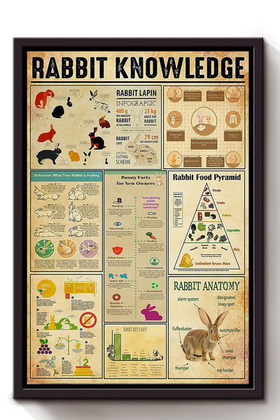Rabbit Basic Information Animal Knowledge Wall Art For Homeschool Kids Bedroom Decor Framed Canvas Framed Prints, Canvas