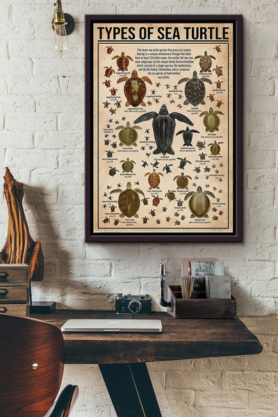 Types Of Sea Turtle Poster Framed Matte Canvas