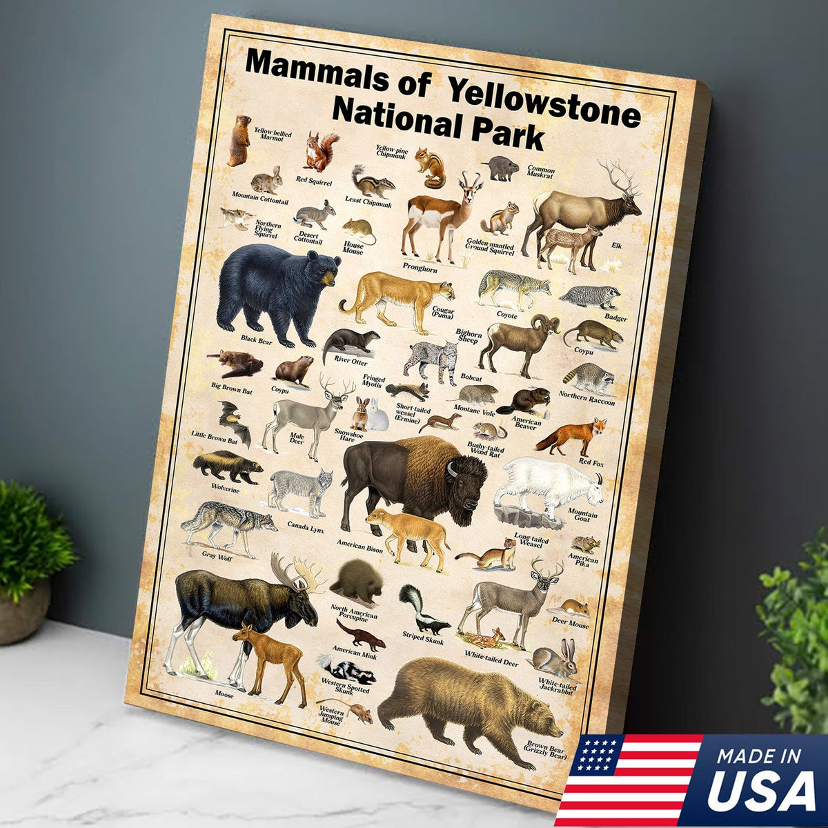 Mammals of Yellowstone National Park Poster – Wildlife Wall Art for Nature Lovers, Hunters & Kids