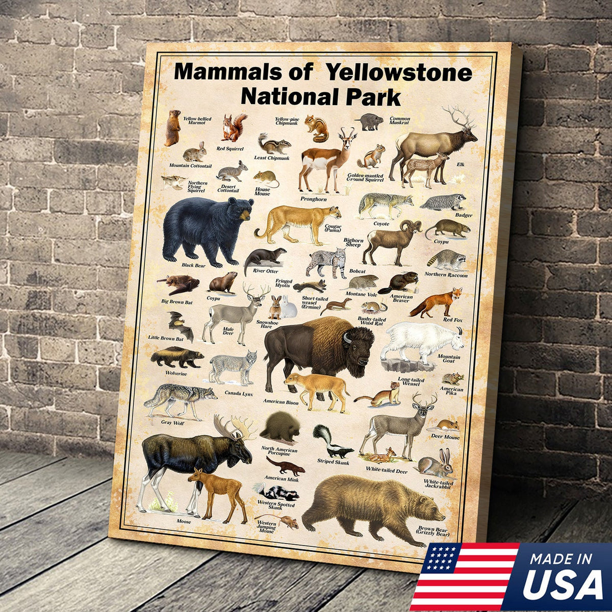 Mammals of Yellowstone National Park Poster – Wildlife Wall Art for Nature Lovers, Hunters & Kids