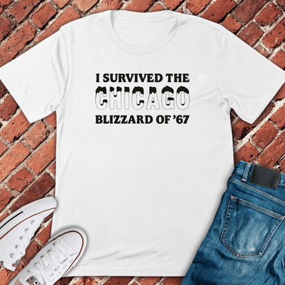 Blizzard Of '67 T-Shirt - Chicago Graphic Tee - Gift for Chicago Lovers - Unisex