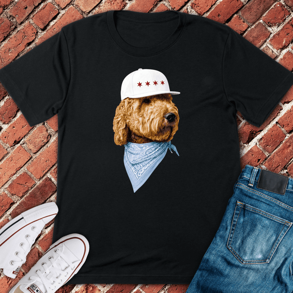 Four Star Pup T-Shirt - Chicago Graphic Tee - Gift for Chicago Lovers - Unisex