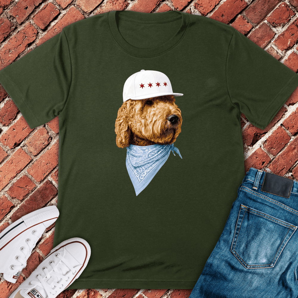 Four Star Pup T-Shirt - Chicago Graphic Tee - Gift for Chicago Lovers - Unisex