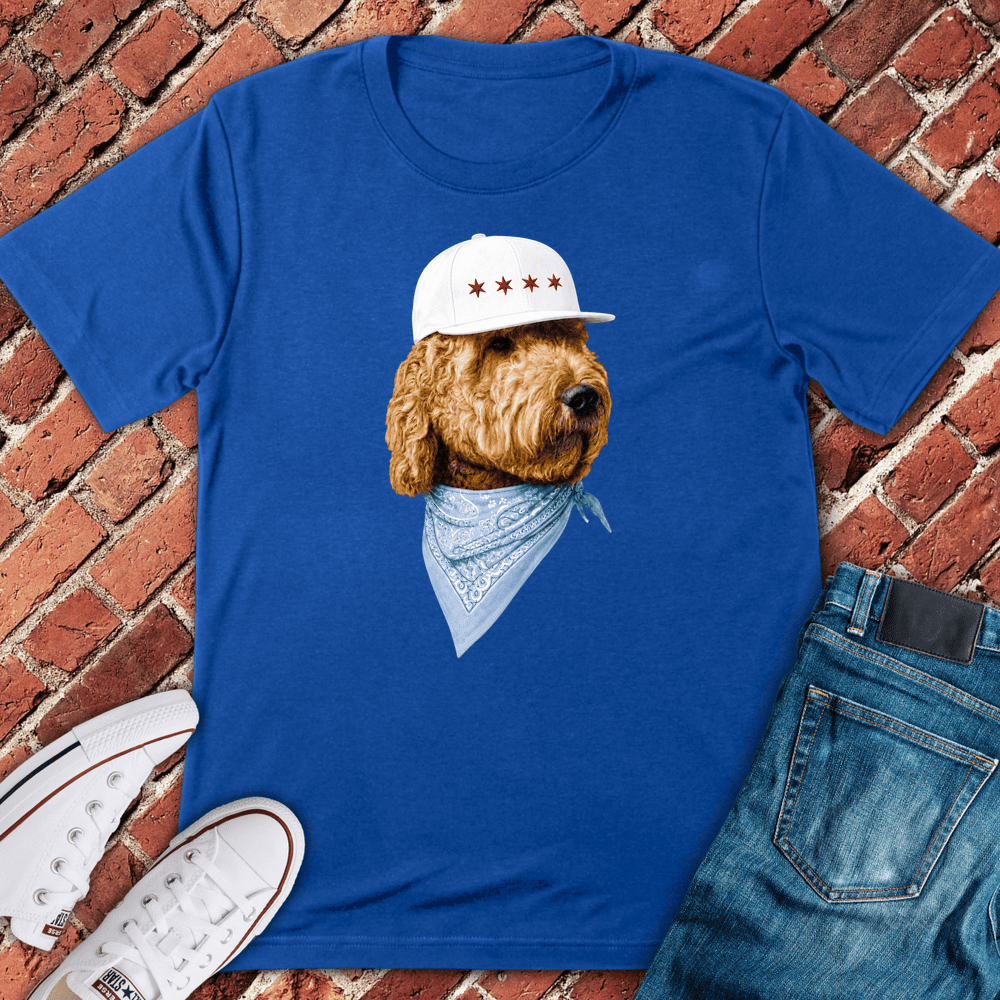 Four Star Pup T-Shirt - Chicago Graphic Tee - Gift for Chicago Lovers - Unisex