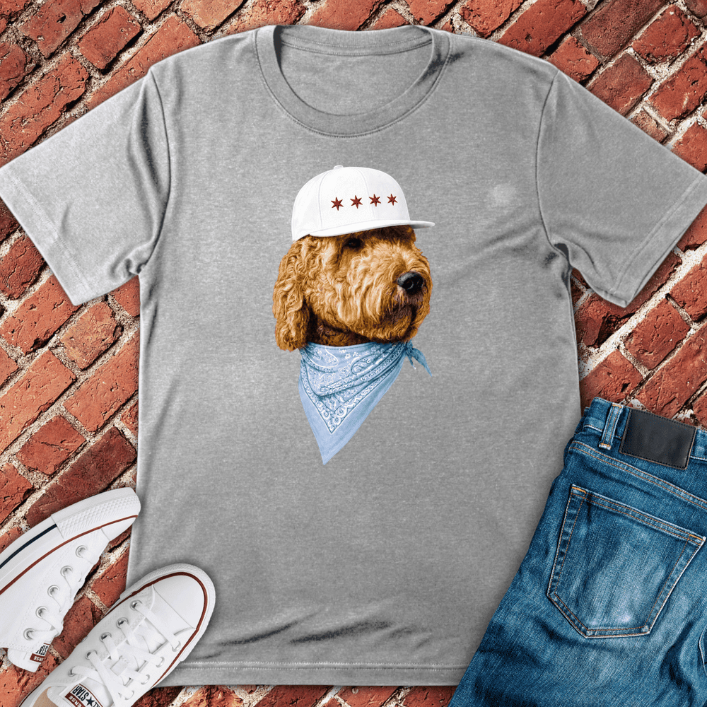 Four Star Pup T-Shirt - Chicago Graphic Tee - Gift for Chicago Lovers - Unisex