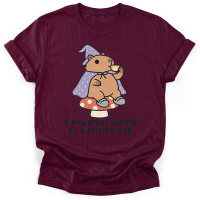 A Powerful Wizard On A Small Break T-Shirt - Funny Hiking Graphic Tee - Gift for Hikers - Unisex