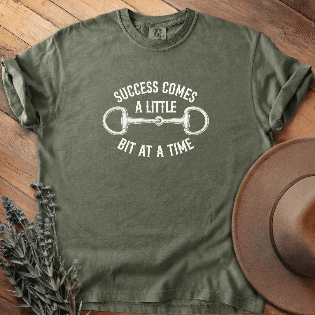 Success T-Shirt - Horse Graphic Tee - Gift for Horse Lovers - Unisex