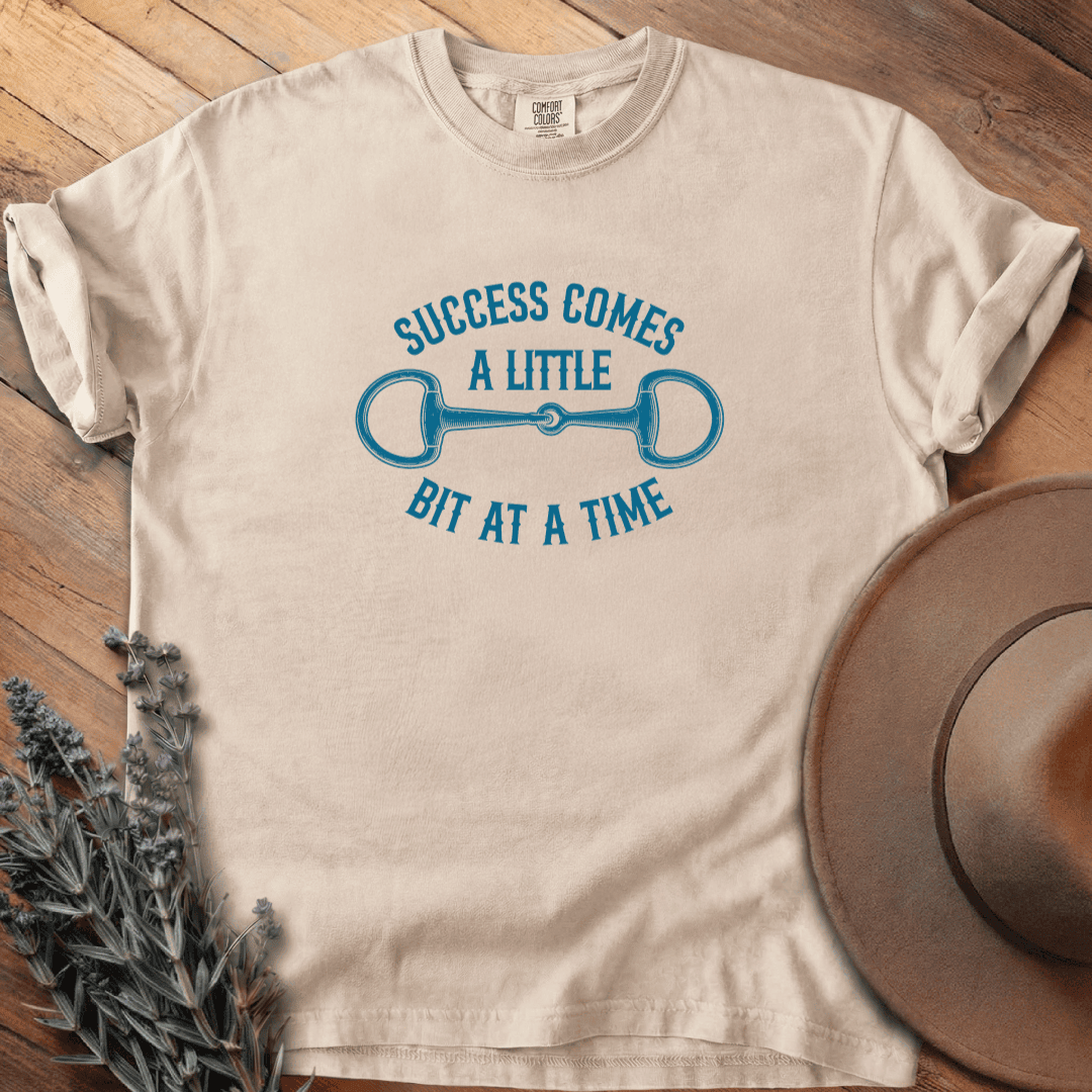 Success T-Shirt - Horse Graphic Tee - Gift for Horse Lovers - Unisex