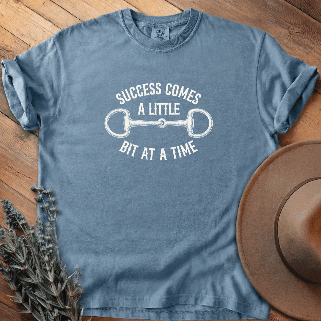 Success T-Shirt - Horse Graphic Tee - Gift for Horse Lovers - Unisex