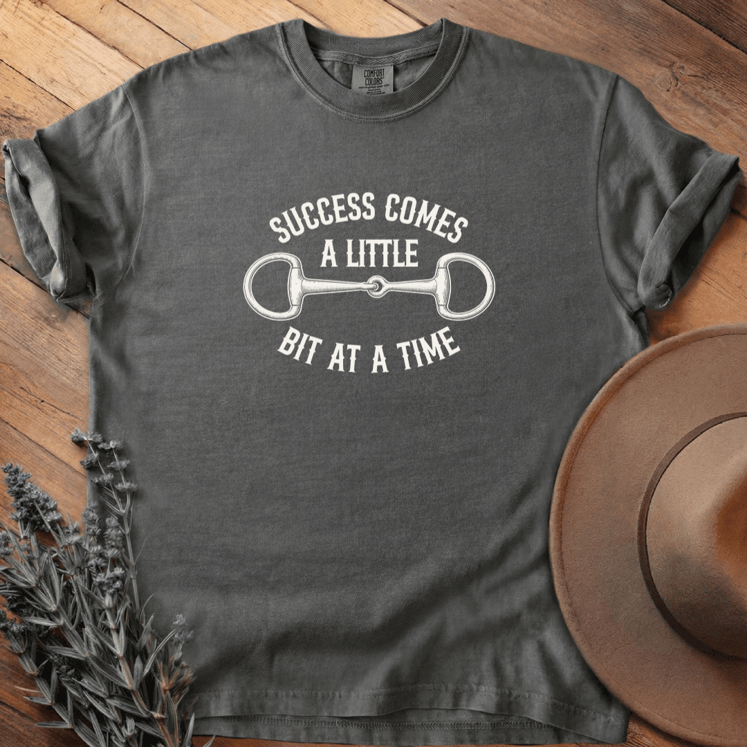 Success T-Shirt - Horse Graphic Tee - Gift for Horse Lovers - Unisex