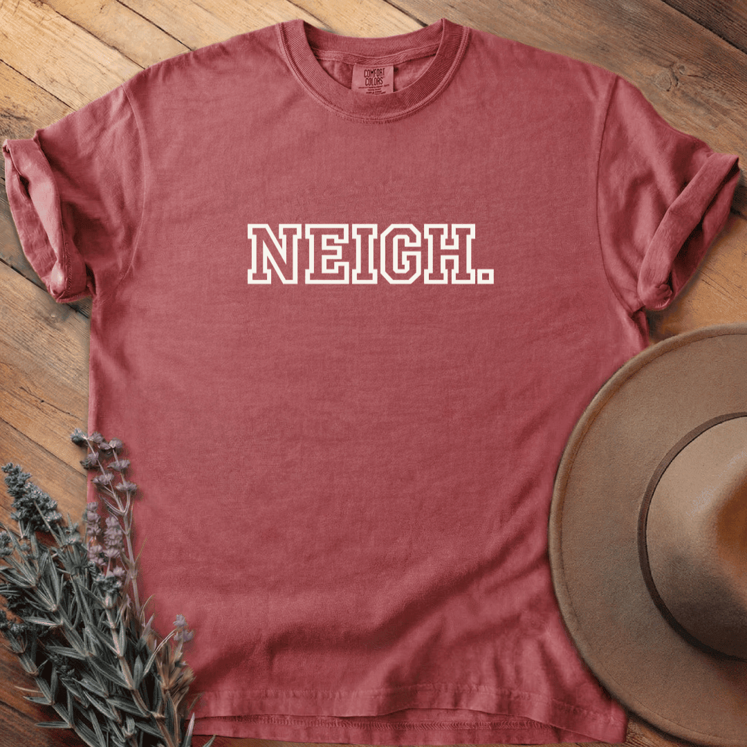 Neigh T-Shirt - Horse Graphic Tee - Gift for Horse Lovers - Unisex