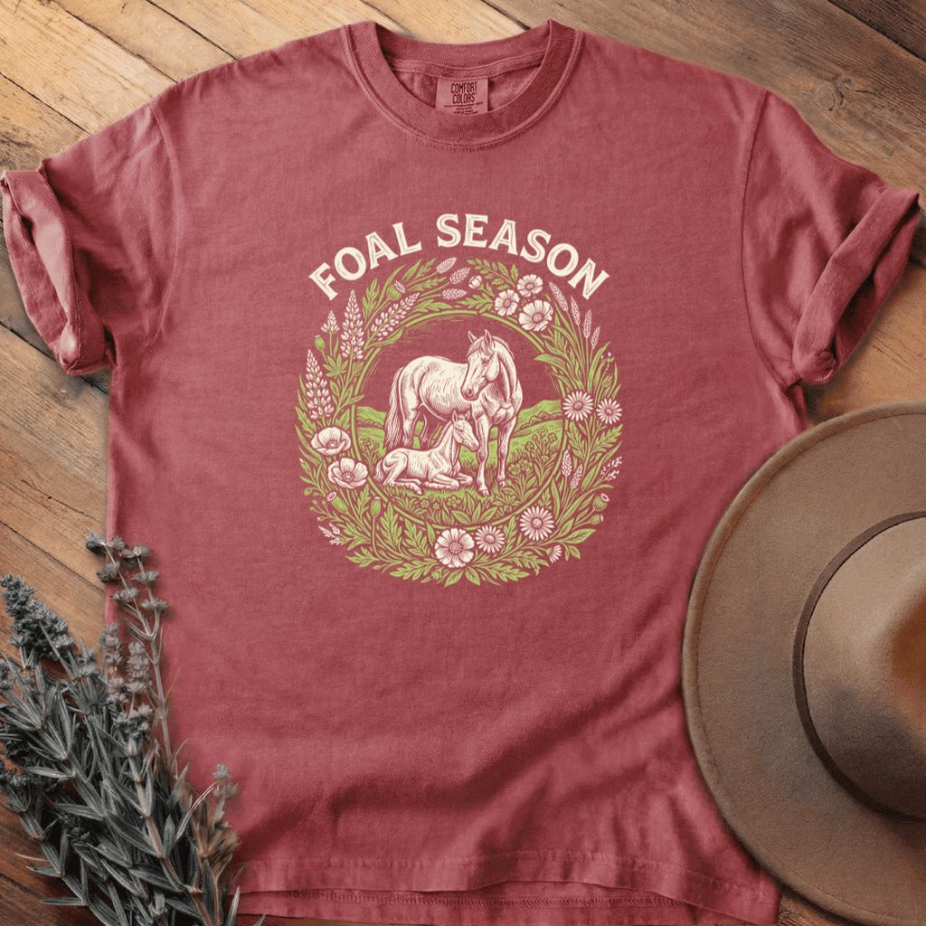 Foal Season 1 T-Shirt - Horse Graphic Tee - Gift for Horse Lovers - Unisex