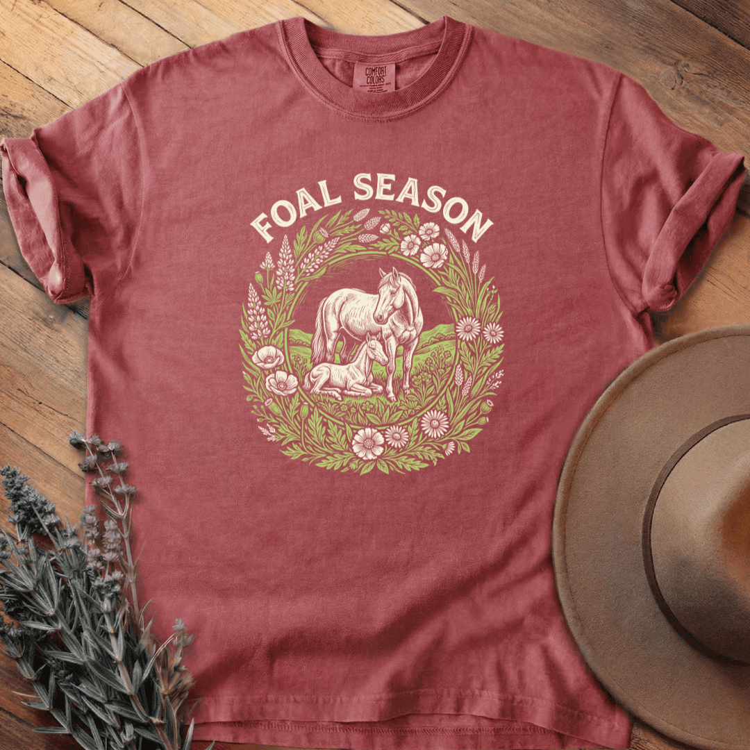 Foal Season 1 T-Shirt - Horse Graphic Tee - Gift for Horse Lovers - Unisex
