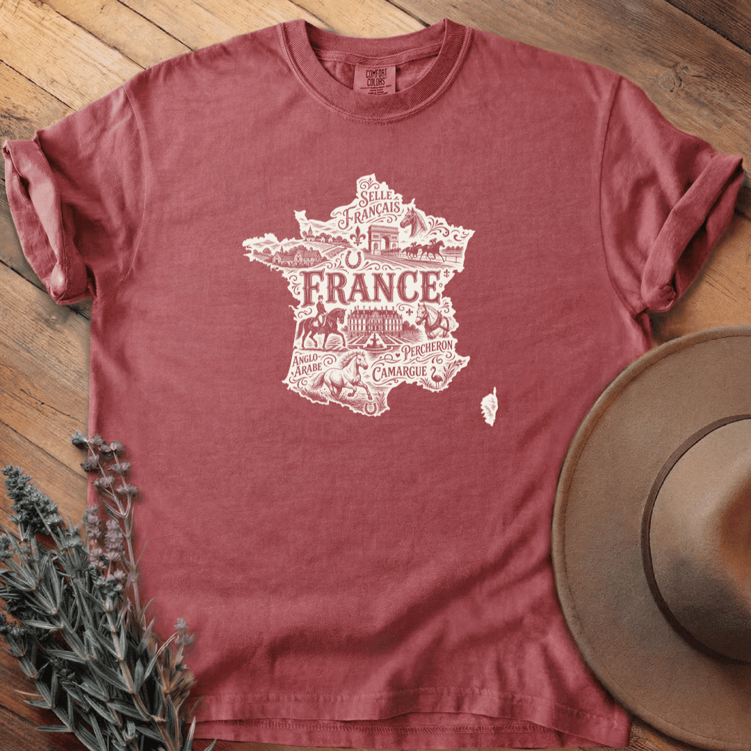 La France & les Chevaux T-Shirt - Horse Graphic Tee - Gift for Horse Lovers - Unisex