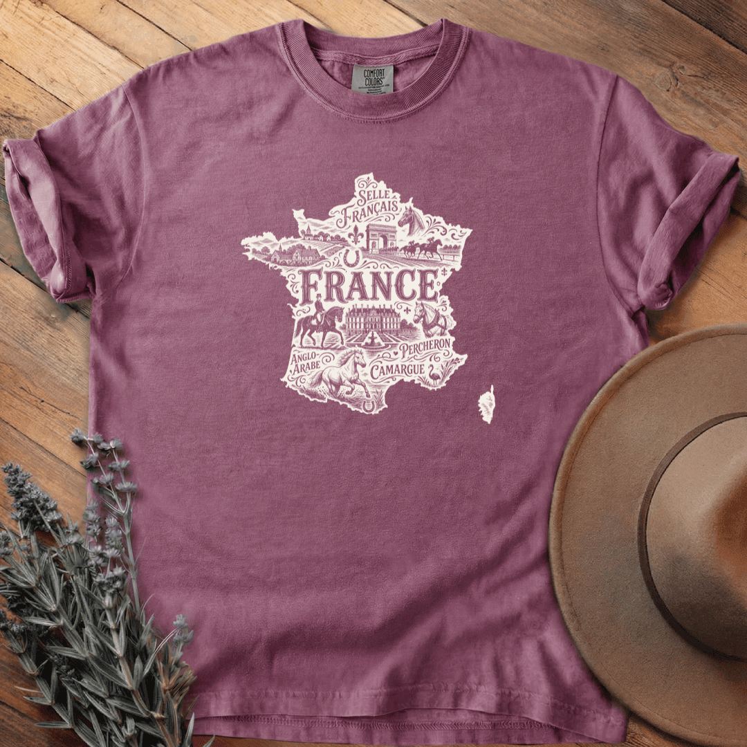 La France & les Chevaux T-Shirt - Horse Graphic Tee - Gift for Horse Lovers - Unisex