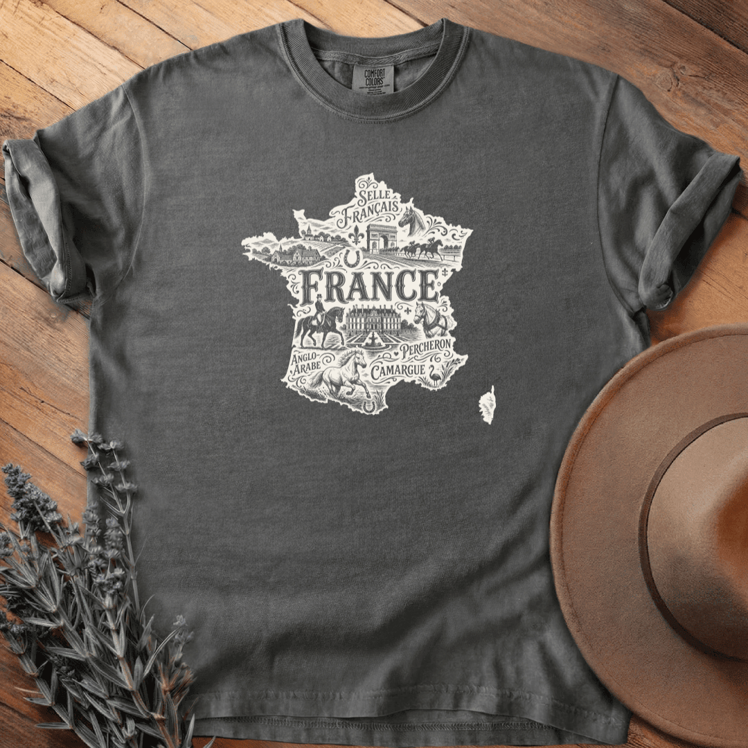 La France & les Chevaux T-Shirt - Horse Graphic Tee - Gift for Horse Lovers - Unisex