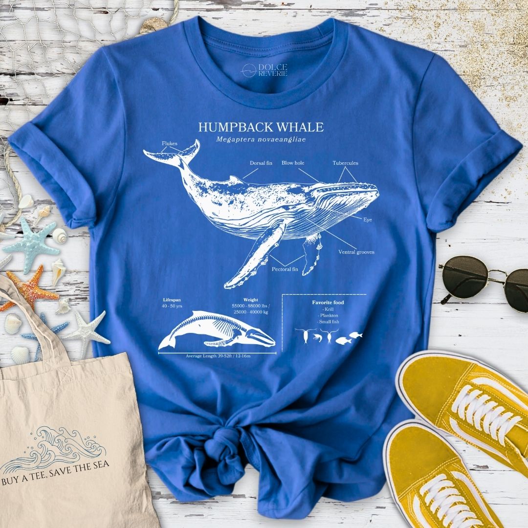 Humpback Whale Anatomy T-Shirt - Ocean Graphic Tee - Gift for Ocean Lovers - Unisex