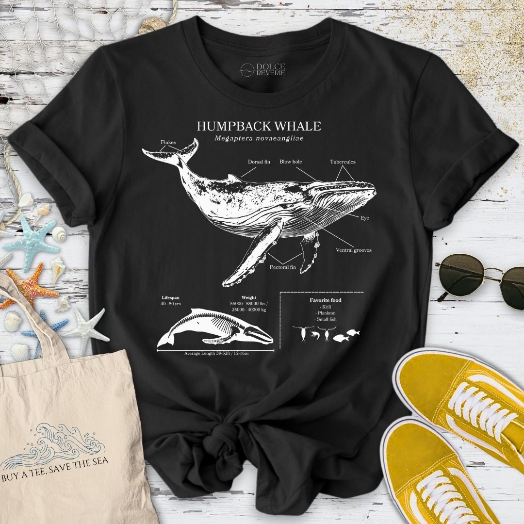 Humpback Whale Anatomy T-Shirt - Ocean Graphic Tee - Gift for Ocean Lovers - Unisex