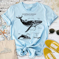 Humpback Whale Anatomy T-Shirt - Ocean Graphic Tee - Gift for Ocean Lovers - Unisex