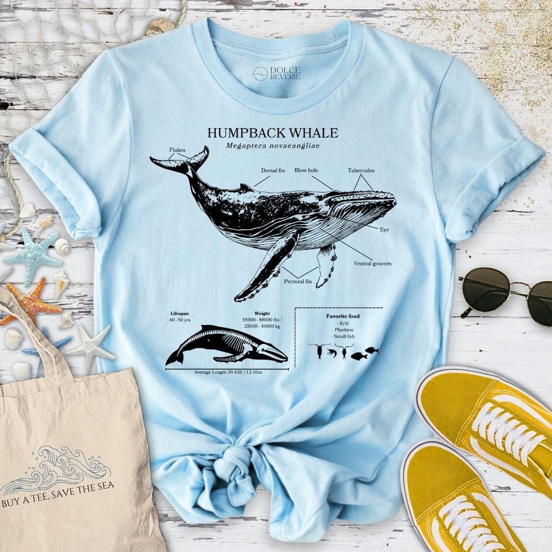 Humpback Whale Anatomy T-Shirt - Ocean Graphic Tee - Gift for Ocean Lovers - Unisex