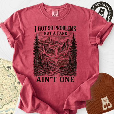 99 Problems T-Shirt Gift For Hiker