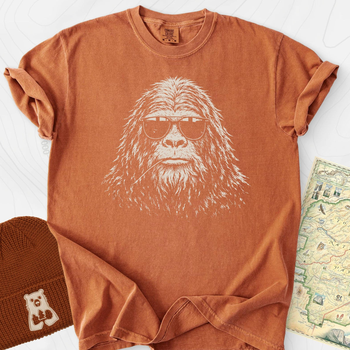 Incognito T-Shirt Gift For Hiker