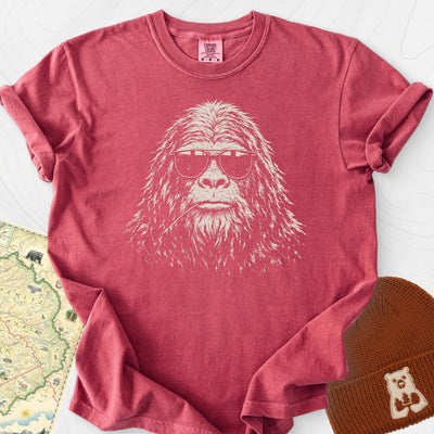 Incognito T-Shirt Gift For Hiker