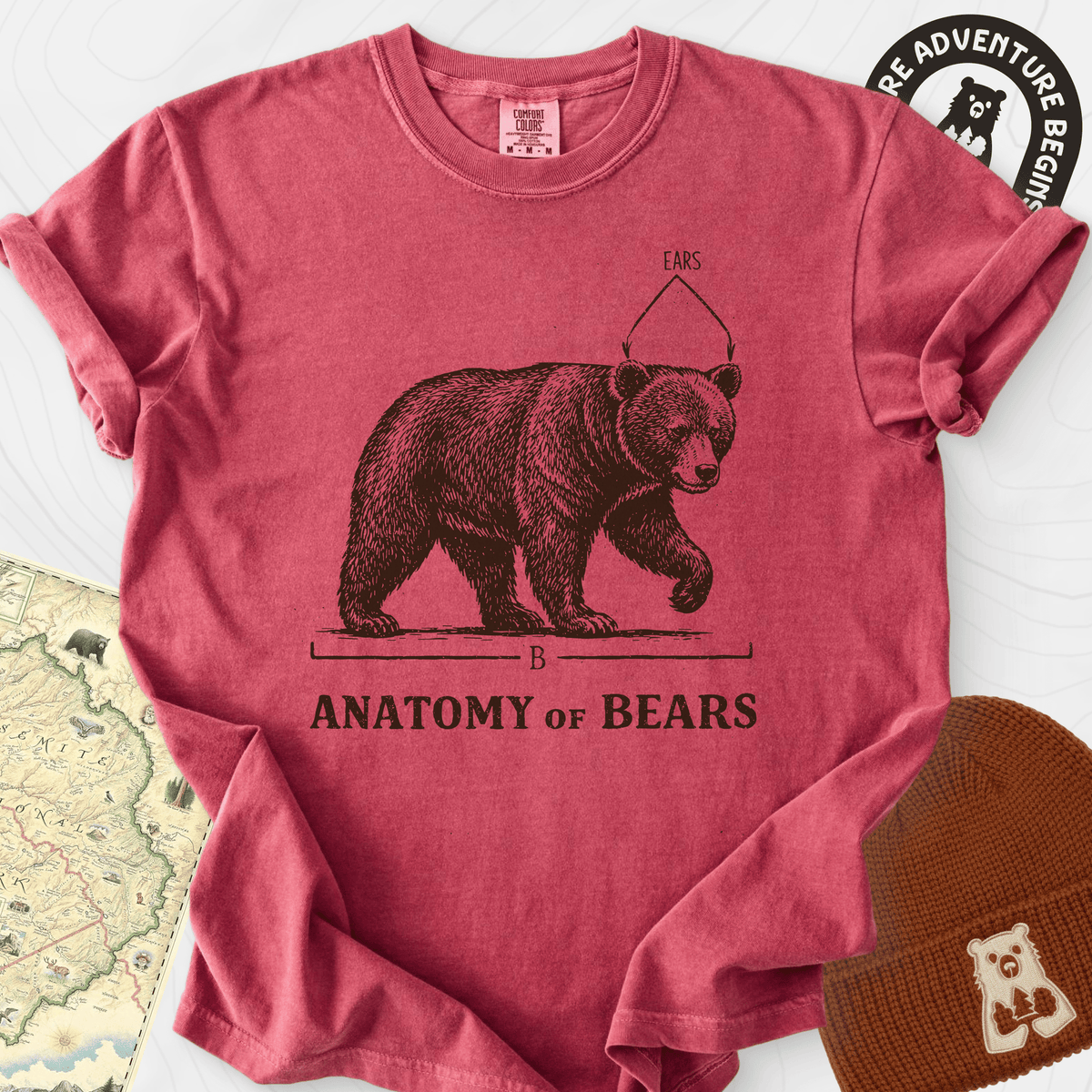 Bear Anatomy T-Shirt Gift For Hiker