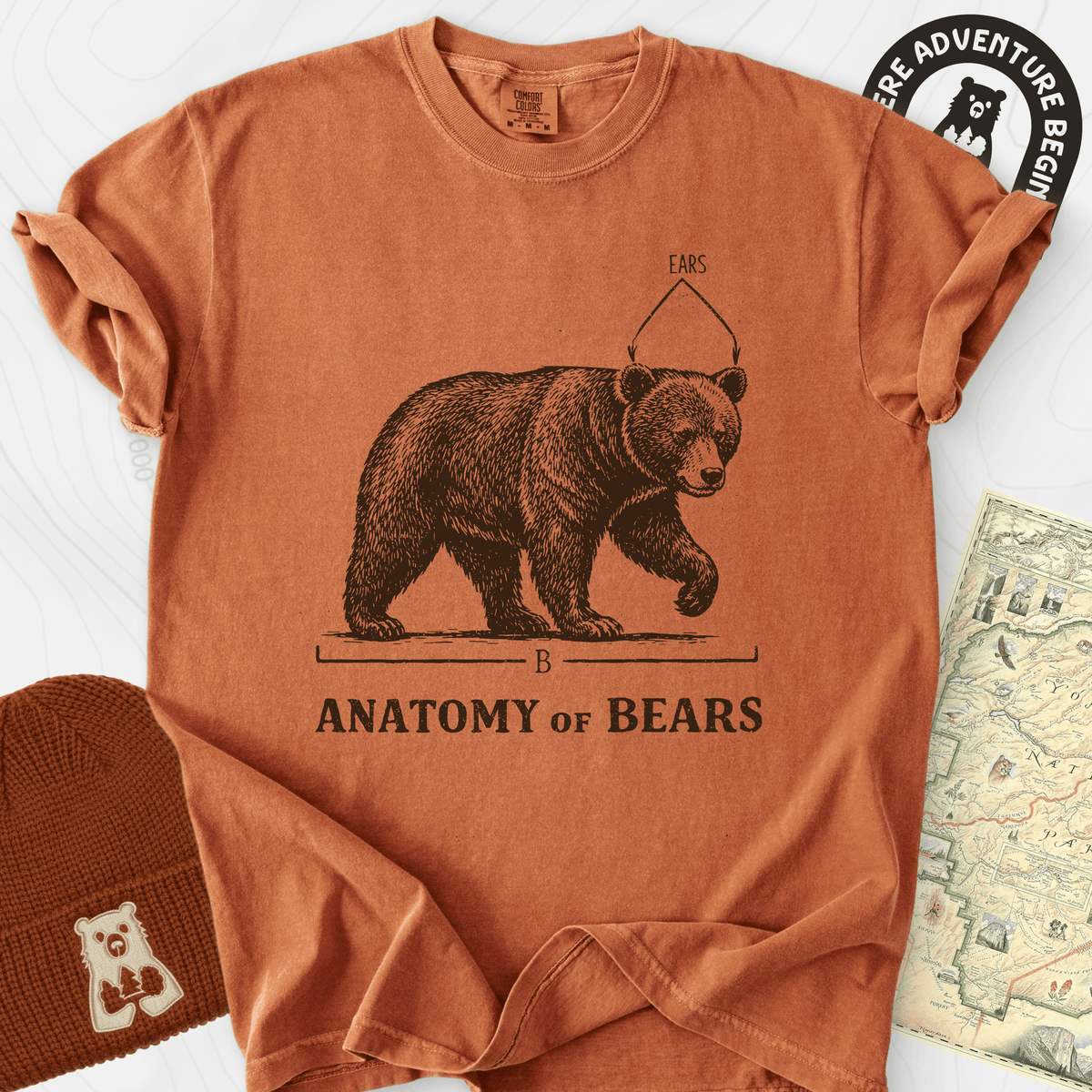 Bear Anatomy T-Shirt Gift For Hiker