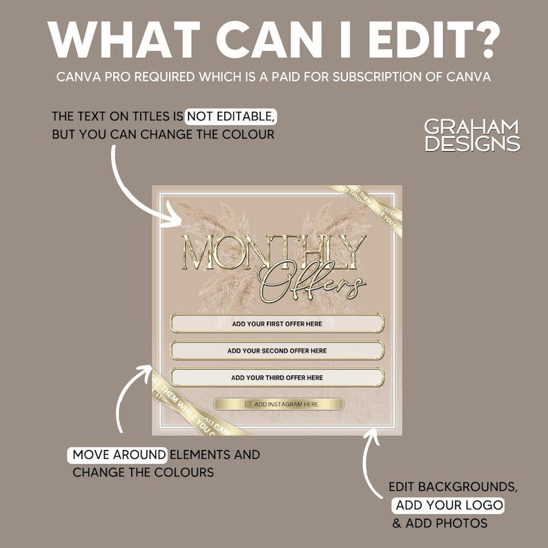 Monthly Offers, Canva Editable, Template for Instagram Feed, Beauty Industry, Boho Chic Premade Post, For Beautician, Beige & Gold